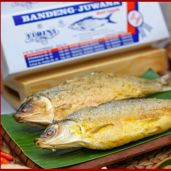 

Bandeng Presto Tulang Lunak Juwana Elrina asli Khas Oleh Oleh Semarang
