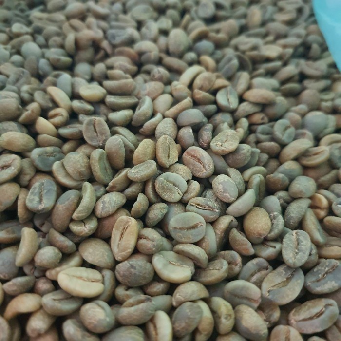 

JH8 Argopuro Hermentic Sealed LIMITED STOK