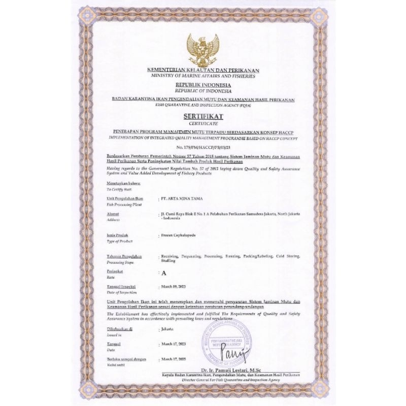 

Cumi Tube Kupas 1 kg / Cumi Calamari / Squid Tube / Seafood 22