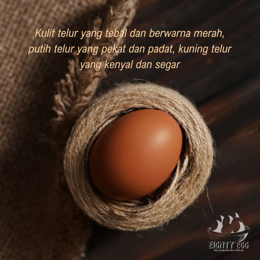 

Telur Ayam Negeri OMEGA 3 - 15 pcs GRADE A Fresh Bersih Kualitas Terbaik