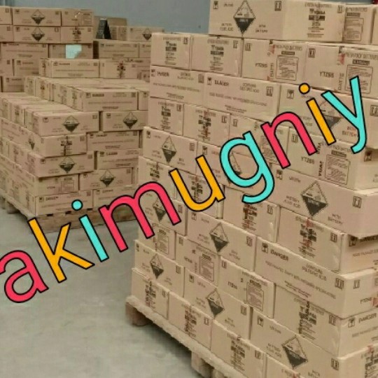 JTTOP AKI ACCU BATERAI KERING VRLA MF 6V 4.5AH / 4.5AH 6V MAINAN