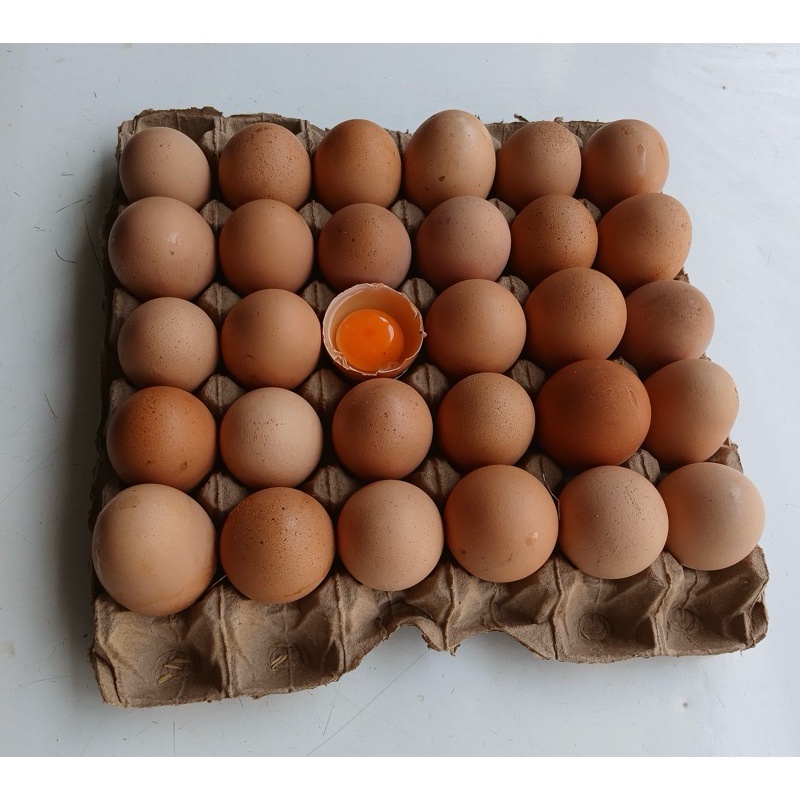 

[TELUR OMEGA] Premium 1 Tray isi 30 Butir 2Kg