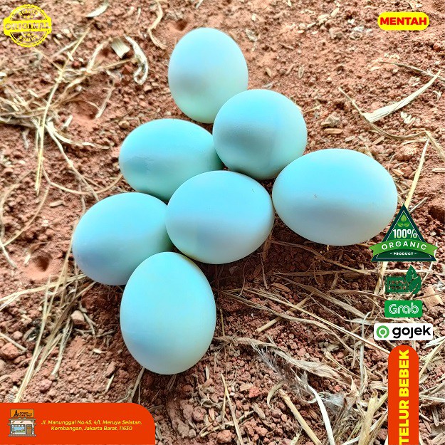 

Telur Bebek Mentah 15 butir