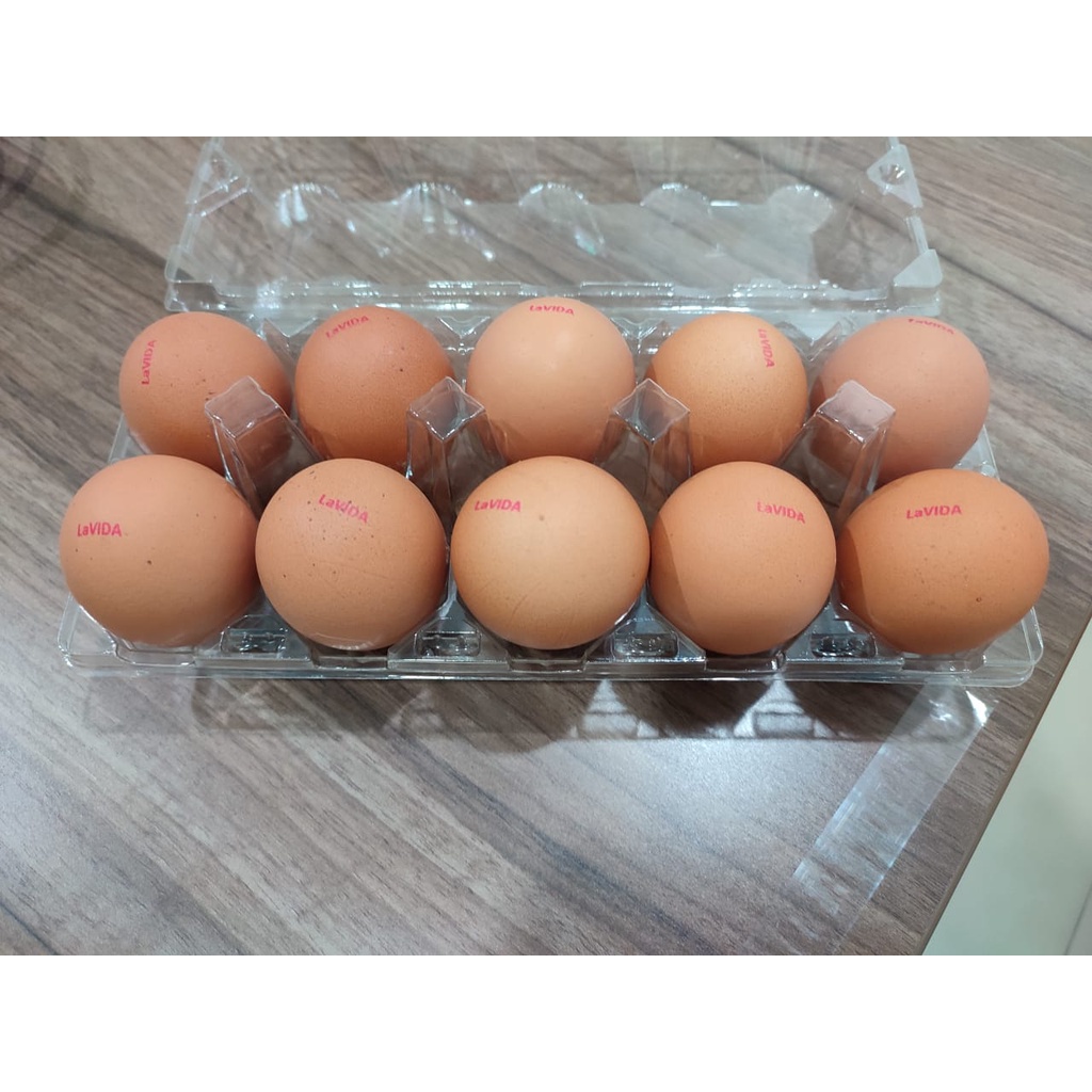 

Telur Omega 3 - 10 Butir