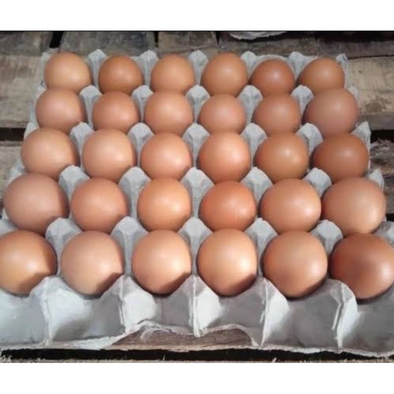 

telur ayam negeri 1kg