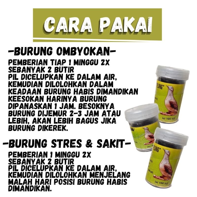 Ready VITAMIN BURUNG PERKUTUT JAMU PERKUTUT PIL PERKUTUT GACOR OBAT PERKUTUT PAKAN BURUNG PERKUTUT
