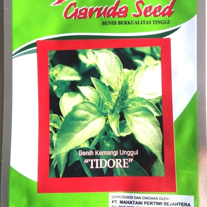 JTTOP" BENIH KEMANGI "TIDORE" @5GR