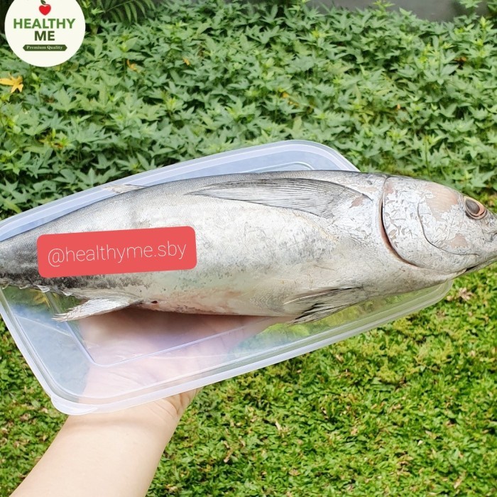 

(Good) TONGKOL SEGAR 1 KG