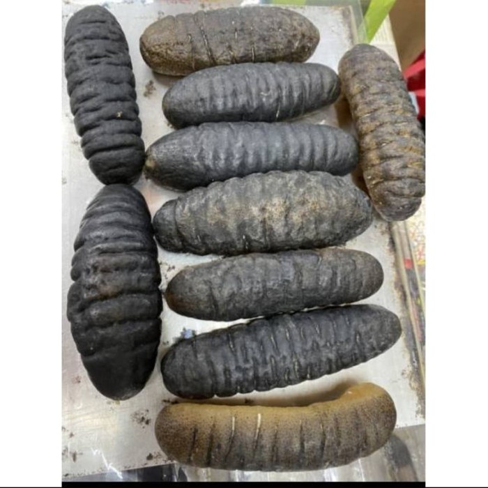

Teripang Laut / Haisom Asli Belitung 1 Kg Isi 10
