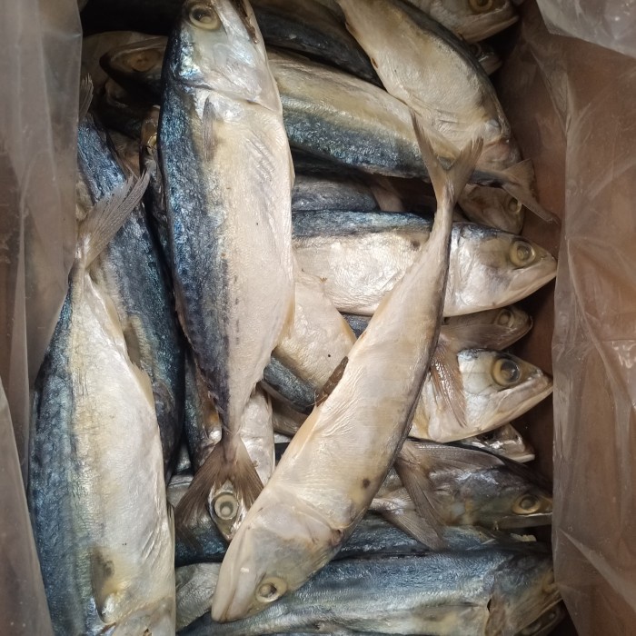 

ikan asin peda putih 1 kg 8 ekor Fresh.