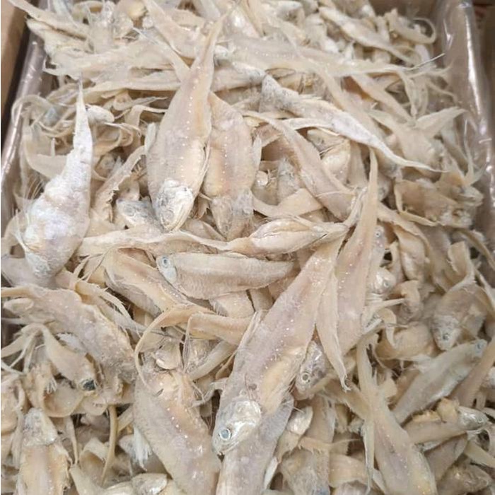

ikan asin Bulu ayam asin murah 1 kg