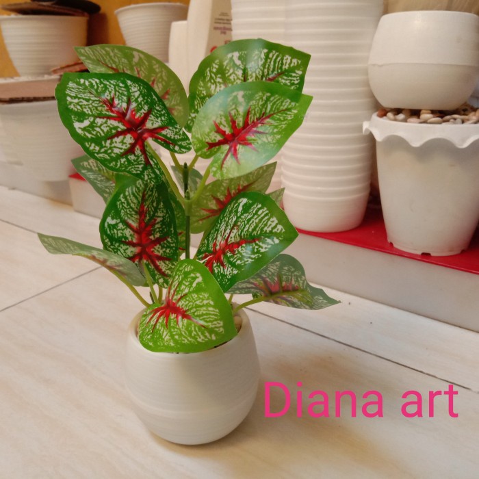 DAUN SRI REJEKI#SRI REJEKI#SRI REJEKI MINI#BUNGA PLASTIK#BUNGA PALSU