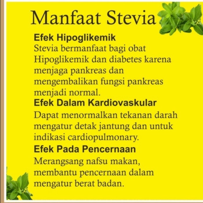 

(Best) Gula Stevia kemasan besar 30 ml
