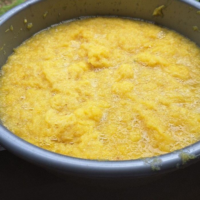 

Promo Terbatas Nanas Parut Bahan Selai Ukuran 5 Kg Aman
