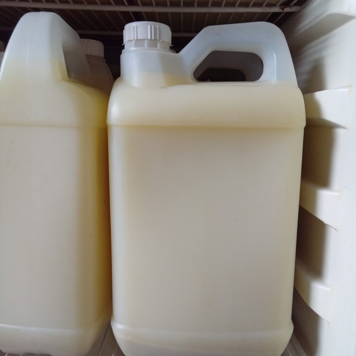 

Jeruk Wokam Import Fresh