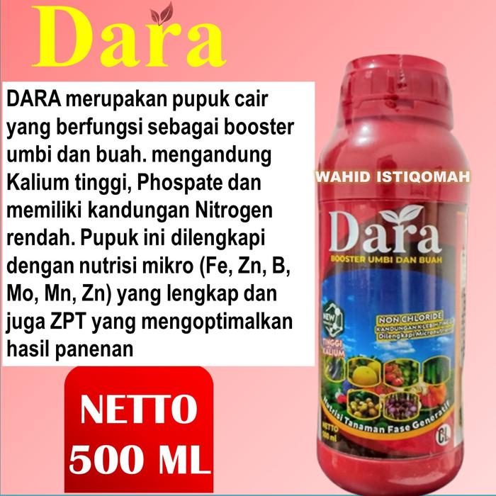 Booster Buah Padi DARA 500ML Obat Pengisian Bulir Padi - Obat Bulir Buah Padi - Obat Padi Obat Buah