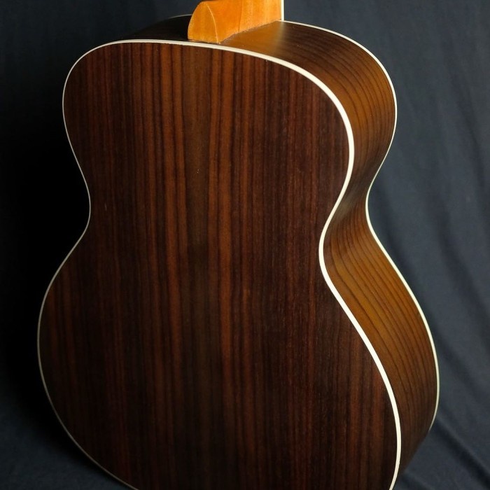 GITAR AKUSTIK/AKUSTIK ELEKTRIK JGS FW 01 N