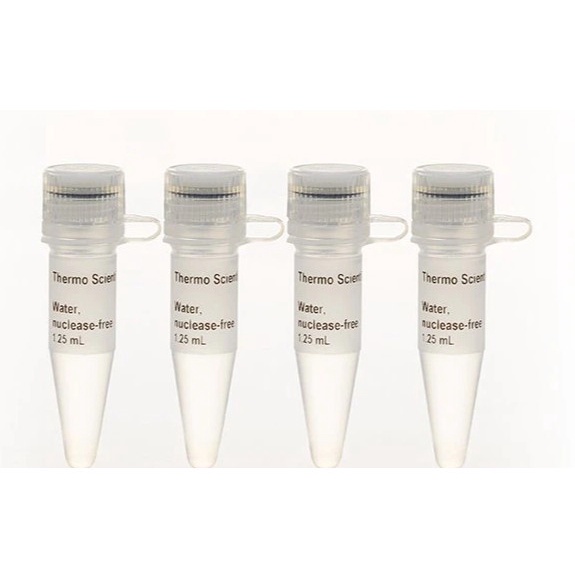 

Jual [READY] Water, nuclease-free R0581 Thermo Scientific