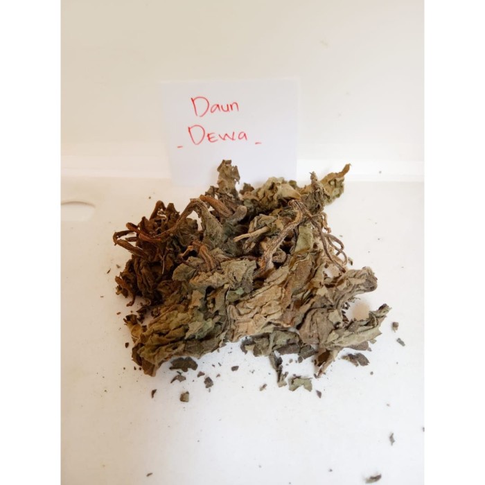 

Daun Dewa Kering / Samsit / Gynura Divaricata 1 kg