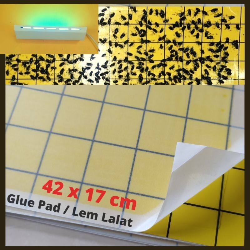 

Glue pad refill ukuran 42x17 cm Hight Quality