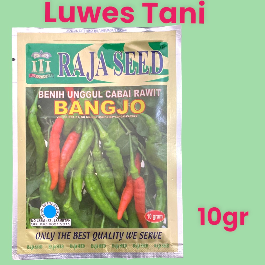kemasan besar) Benih Cabe Rawit Hijau BANGJO Bangkok Ijo 10gram Raja Seed {{ Ready Kak }}