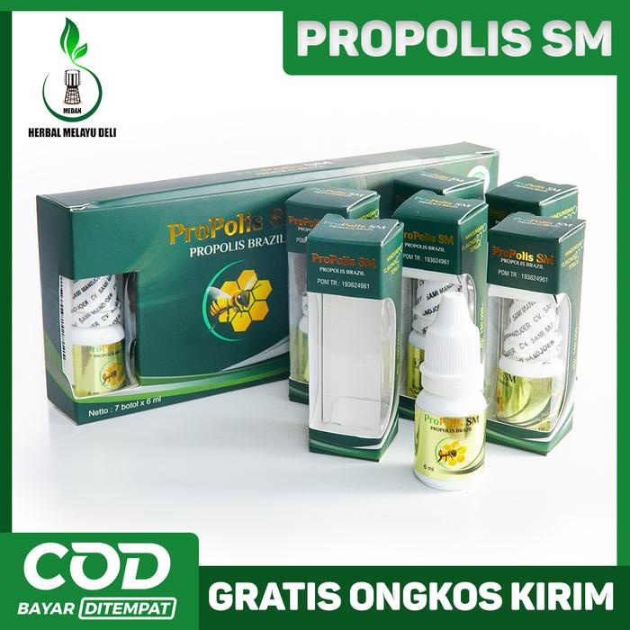 Terbaru Propolis Sm Brazil - 100% Propolis Brazil Murni Berkhasiat Untuk Kesehatan - Legalitas Resmi