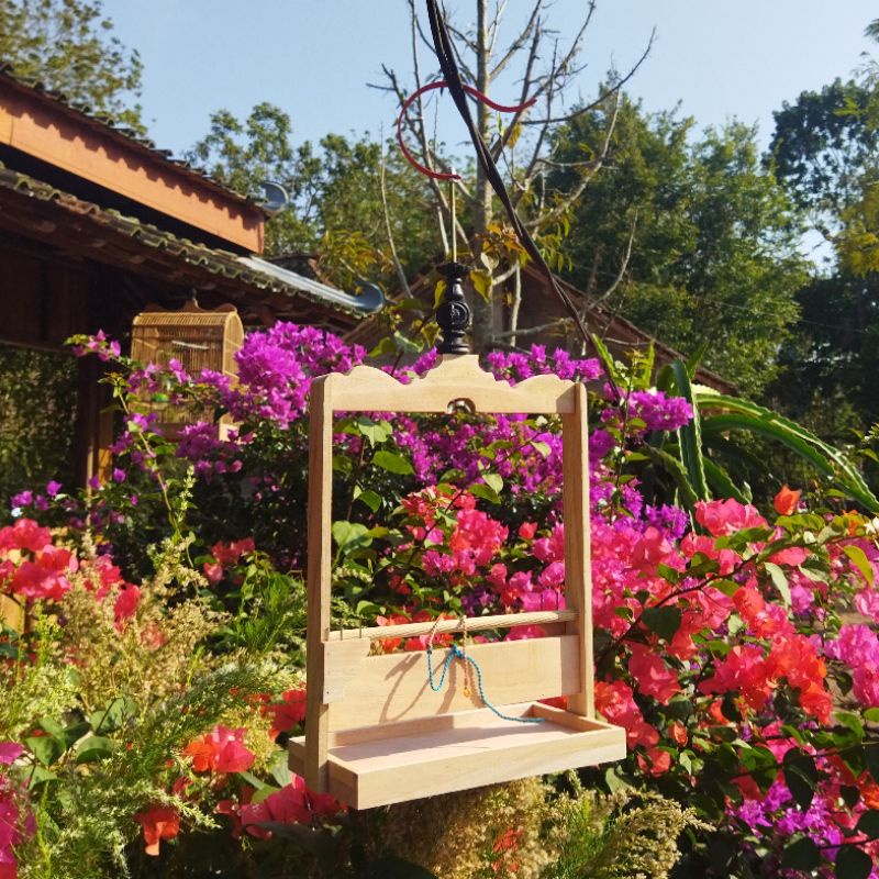 BIG SALE Sangkar Layang Kutilang Trucuk Perkutut burung pikat kutilang Sangkar Burung Jinak