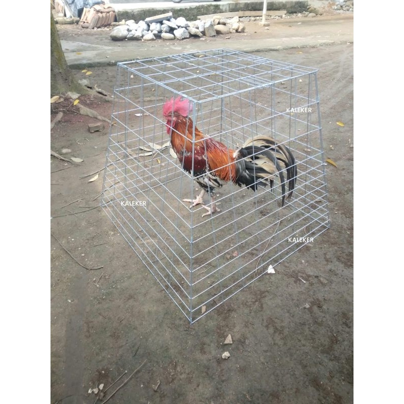 Sale KANDANG KURUNGAN AYAM GALVANIS PIRAMIDA BESI LIPAT