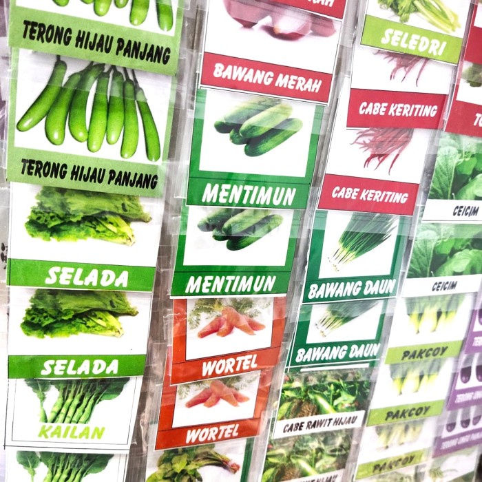paket 10 bungkus benih sayuran campur dapat banyak