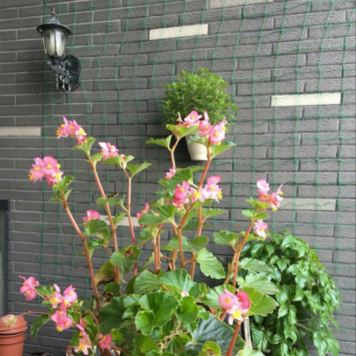 Terbaru Jaring ayam pagar ayam tinggi 1.2 meter Berkualitas