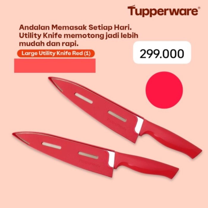 Pisau Tupperware kitchen knife Tanyakan Stock