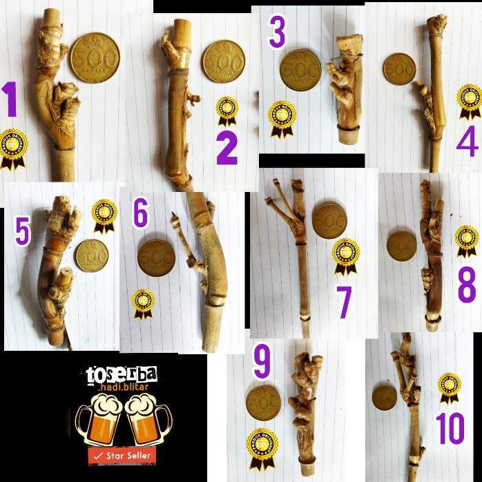 PREMIUM bambu petuk asli antik, pring bambu petuk, bambu tanpa lem, alami