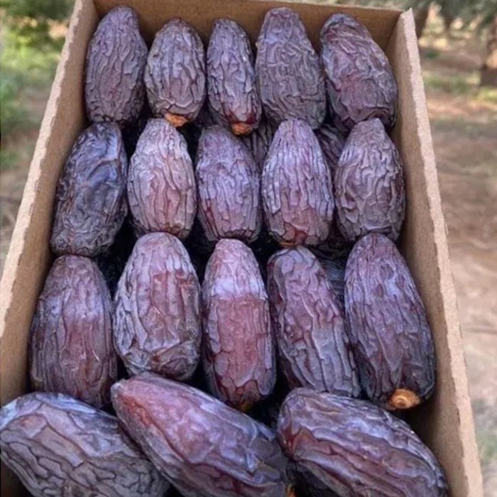 

Kurma Medjool Palestina (Jericho) Al-Quds 500Gr (S)