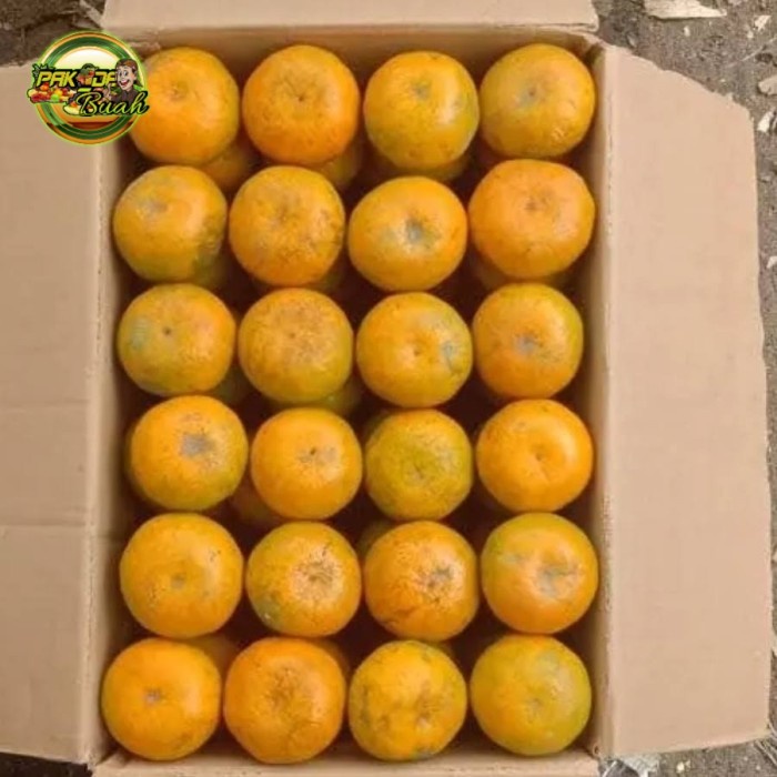 

Lezat- JERUK MEDAN BRASTAGI MANIS / BUAH FRESH