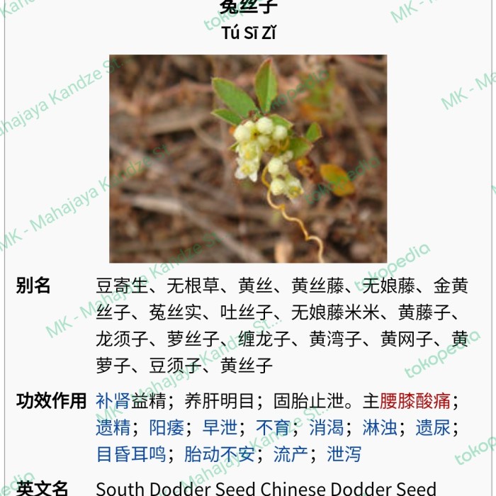 

Cuscuta Cinensis Seed Thu She Zi Super 100 Gram
