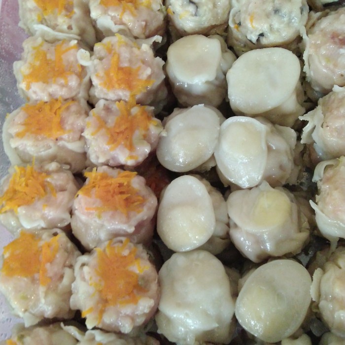

Dimsum tokofoodia 50 pcs