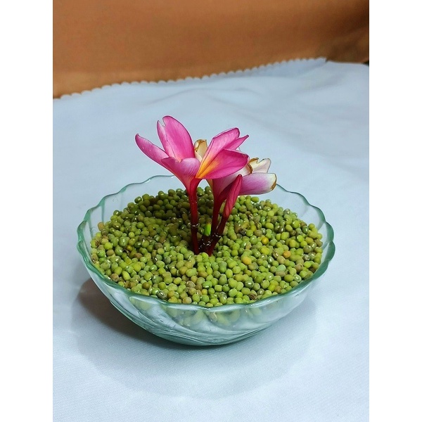 

(GoodSeller) Biji Kacang Hijau 1kg super