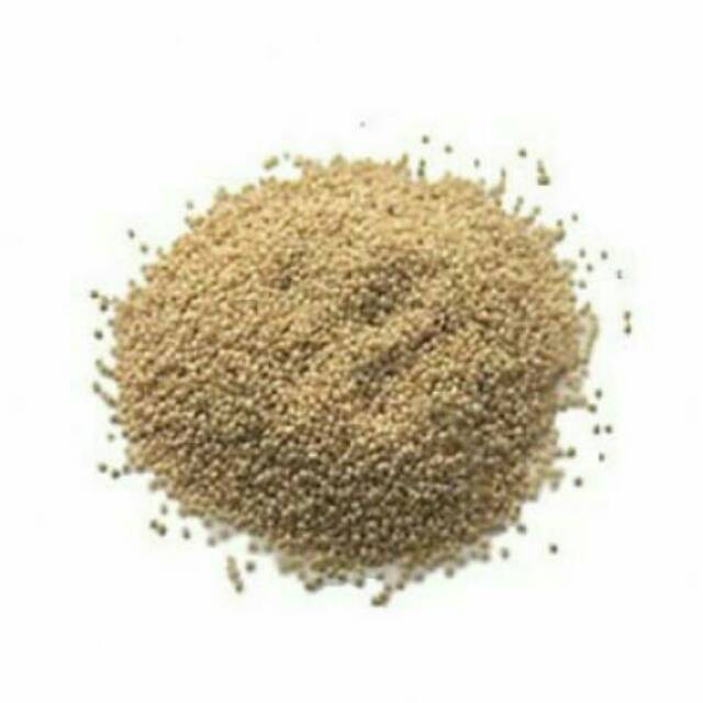 

(GoodSeller) KASKAS BIJI KASKAS BIJI POPPY POPPY SEEDS