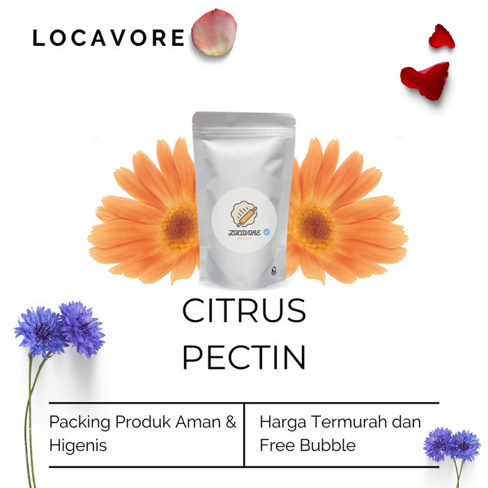 

(GoodSeller) Citrus Pectin / Pektin Kulit Jeruk / LM Pectin 100 GR