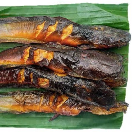 

SALAI LELE - Ikan Lele asap - iwak panggang