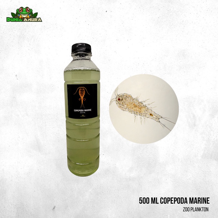 Copepoda - Copepods - Makanan Hidup Koral dan Ikan - 500 ML