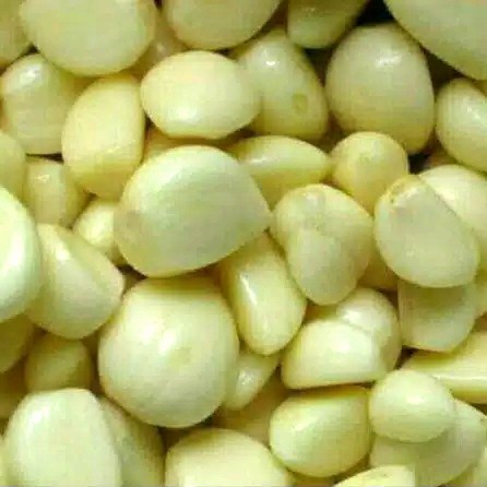 

bawang putih kating kupas