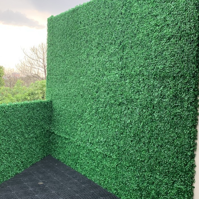 ROYzC- daun dolar rambat dinding plastik premium