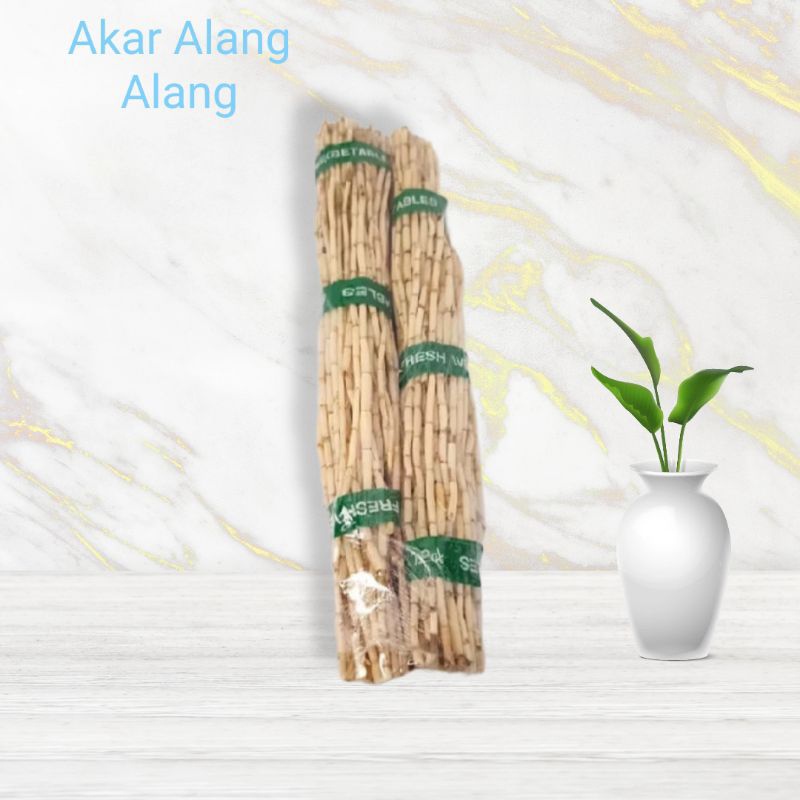 

FRESH akar Alang Alang segar 250gram obat banyak khasiat