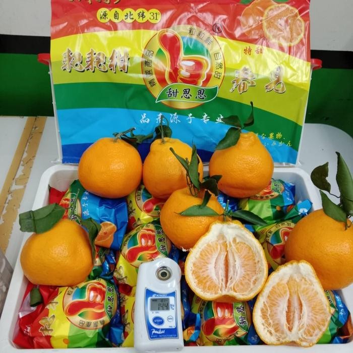 

BisaInstan- Jeruk Dekopon Jeruk Papagan Chunjian Jumbo Fresh Import 1krat