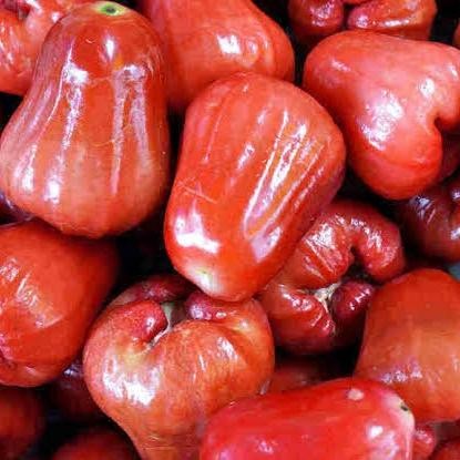 

BisaInstan- buah jambu air merah segar fresh - 1 kilogram