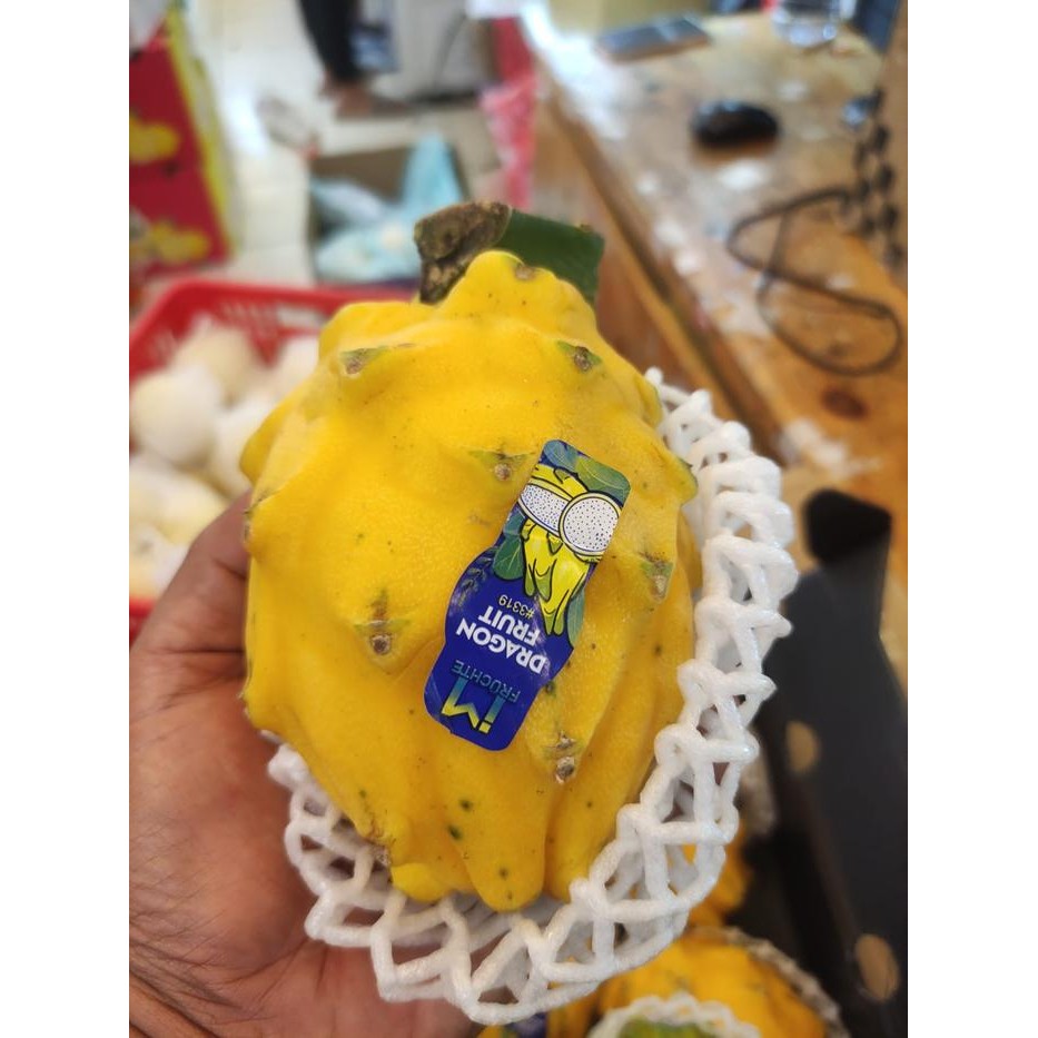 

BisaInstan- buah naga kuning manis organik x columbia no merah putih