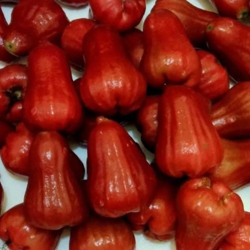 

BisaInstan- Buah Jambu Citra 1 Kg