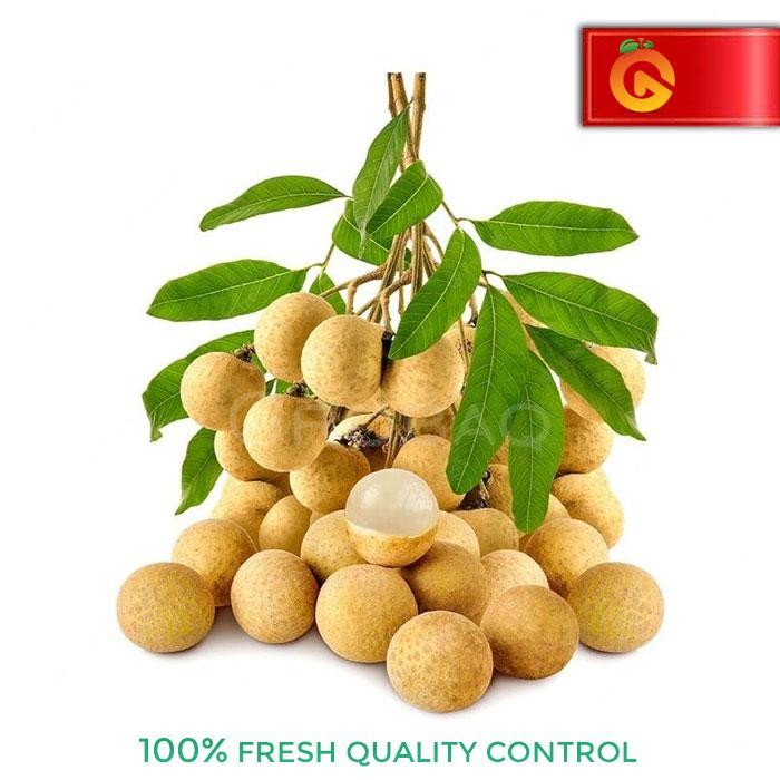 

BisaInstan- Buah Kelengkeng Fresh 1 Kg