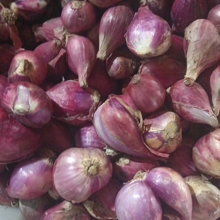 

BisaInstan- bawang merah berebes super 500gr